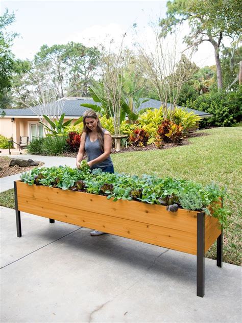 self watering elevated planter boxes